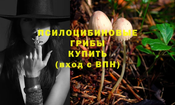 мяу мяу мука Белокуриха
