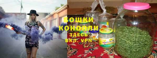 молекула духа Лабытнанги