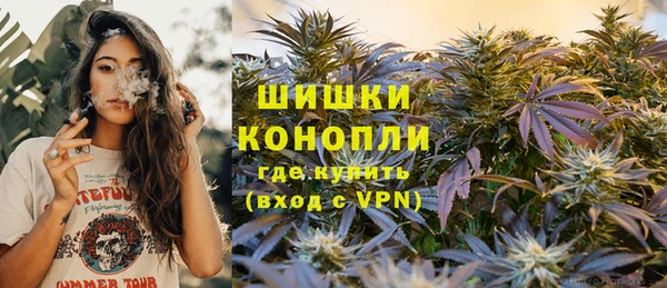 мяу мяу мука Белокуриха
