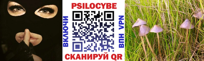 Купить  Красноуральск  Псилоцибиновые грибы мухоморы 